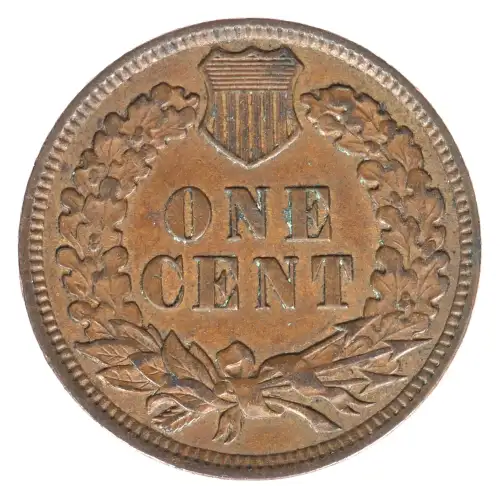Small Cents-Indian Head 1859-1909 -Copper (2)