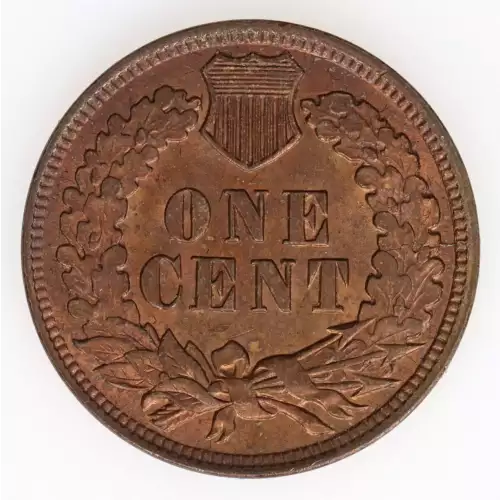 Small Cents-Indian Head 1859-1909 -Copper (3)