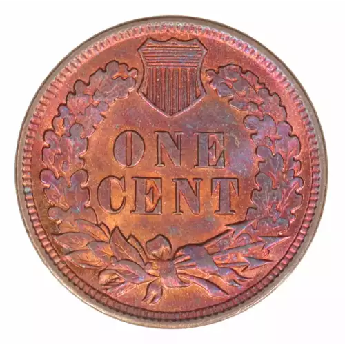 Small Cents-Indian Head 1859-1909 -Copper (2)