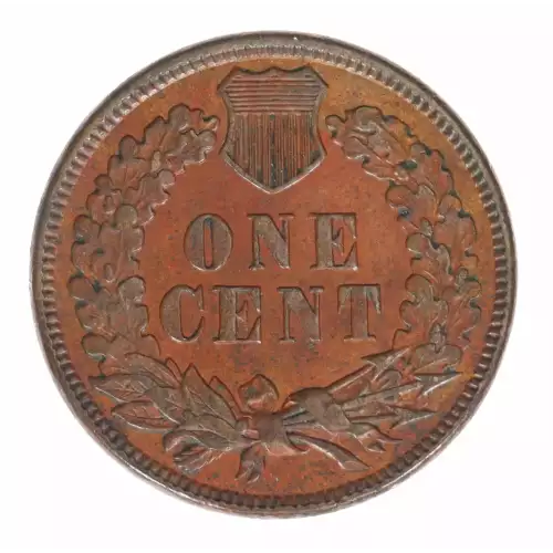 Small Cents-Indian Head 1859-1909 -Copper (2)