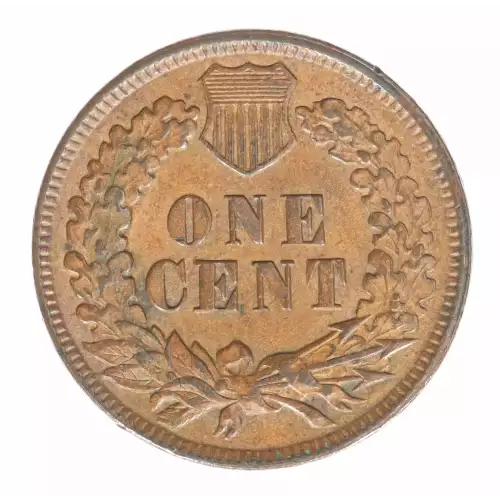 Small Cents-Indian Head 1859-1909 -Copper (2)