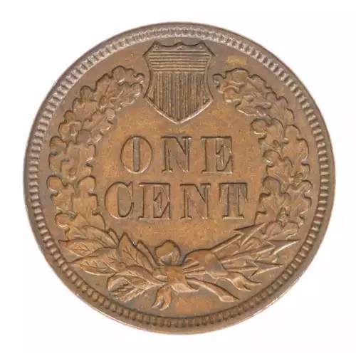 Small Cents-Indian Head 1859-1909 -Copper (2)