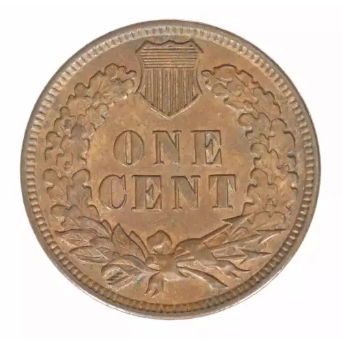 Small Cents-Indian Head 1859-1909 -Copper (2)