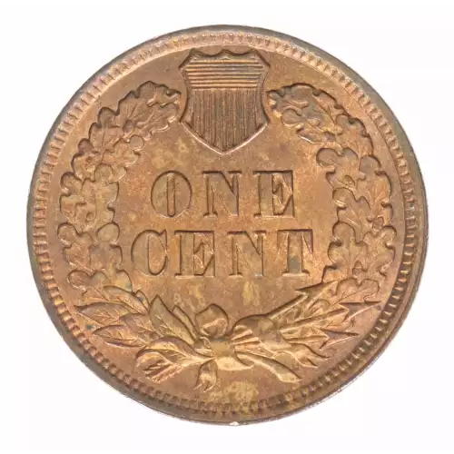 Small Cents-Indian Head 1859-1909 -Copper (2)