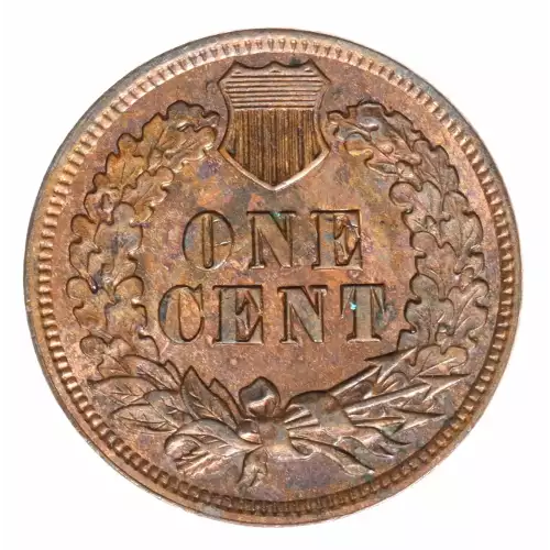 Small Cents-Indian Head 1859-1909 -Copper