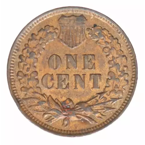 Small Cents-Indian Head 1859-1909 -Copper (2)