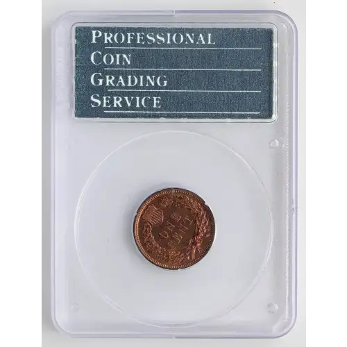 Small Cents-Indian Head 1859-1909 -Copper (2)