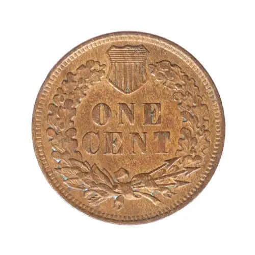 Small Cents-Indian Head 1859-1909 -Copper (2)