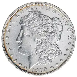 Morgan Silver Dollar (2)