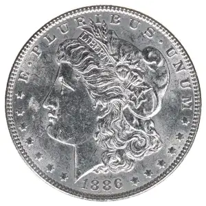 Morgan Silver Dollar (2)
