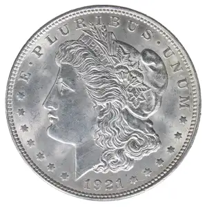 Morgan Silver Dollar (2)