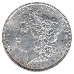 Morgan Silver Dollar (2)