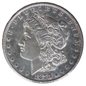 Morgan Silver Dollar (2)