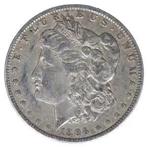 Morgan Silver Dollar (2)