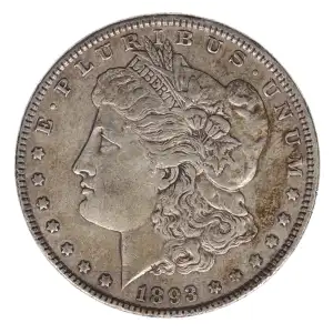 Morgan Silver Dollar (2)
