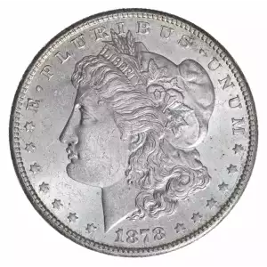 Morgan Silver Dollar (4)