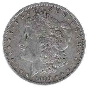 Morgan Silver Dollar (2)