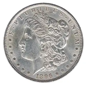 Morgan Silver Dollar (2)