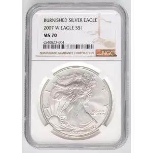 2007 W BURNISHED SILVER EAGLE (3)