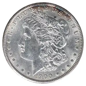 Morgan Silver Dollar (2)