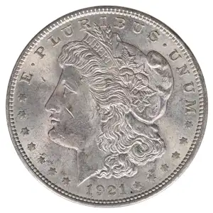 Morgan Silver Dollar (2)