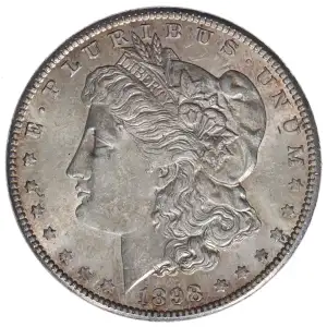 Morgan Silver Dollar