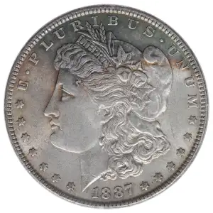 Morgan Silver Dollar