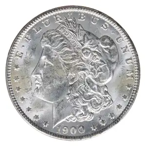 Morgan Silver Dollar