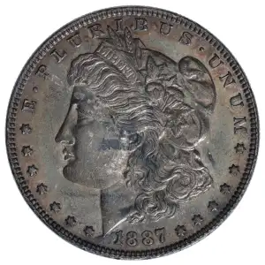 Morgan Silver Dollar (2)