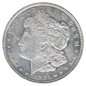 Morgan Silver Dollar (2)