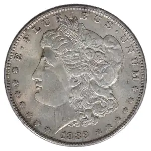 Morgan Silver Dollar (2)