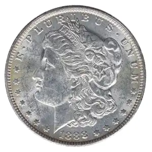 Morgan Silver Dollar (2)