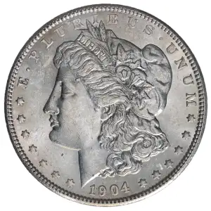 Morgan Silver Dollar