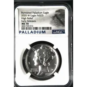 2020 W High Relief Early Releases Burnished Palladium Eagle (2)