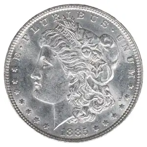 Morgan Silver Dollar (2)