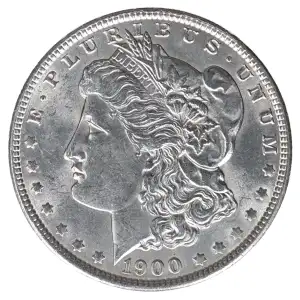 Morgan Silver Dollar (2)