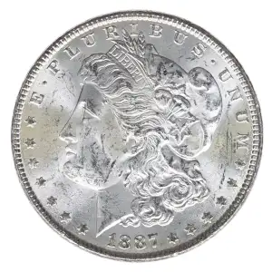 Morgan Silver Dollar