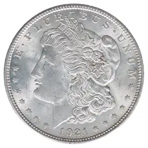 Morgan Silver Dollar (2)