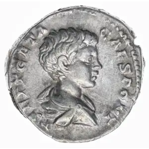 Roman Empire AD 209-211 AR Denarius Geta (2)