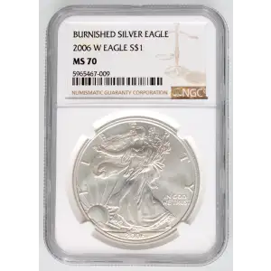 2006 W BURNISHED SILVER EAGLE (3)