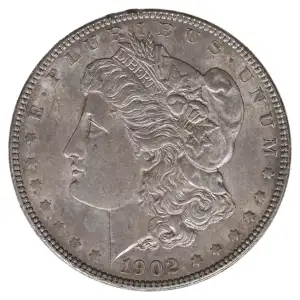 Morgan Silver Dollar