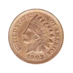 Small Cents-Indian Head 1859-1909 -Copper