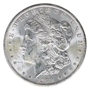 Morgan Silver Dollar (2)
