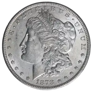 Morgan Silver Dollar (2)