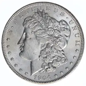 Morgan Silver Dollar (2)