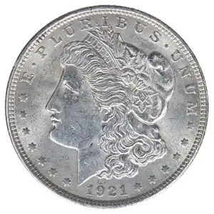 Morgan Silver Dollar (2)
