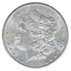 Morgan Silver Dollar