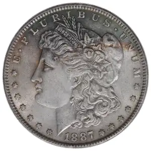 Morgan Silver Dollar (2)