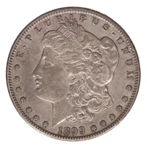 Morgan Silver Dollar (2)
