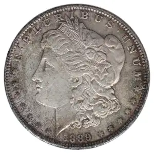 Morgan Silver Dollar (2)